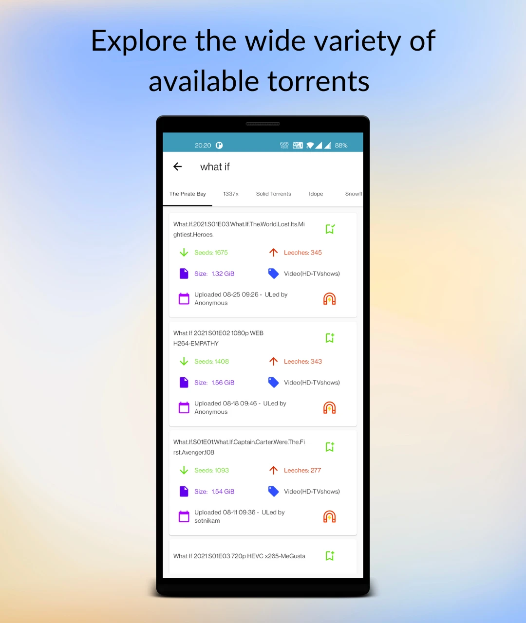 Showing Torso Application Info